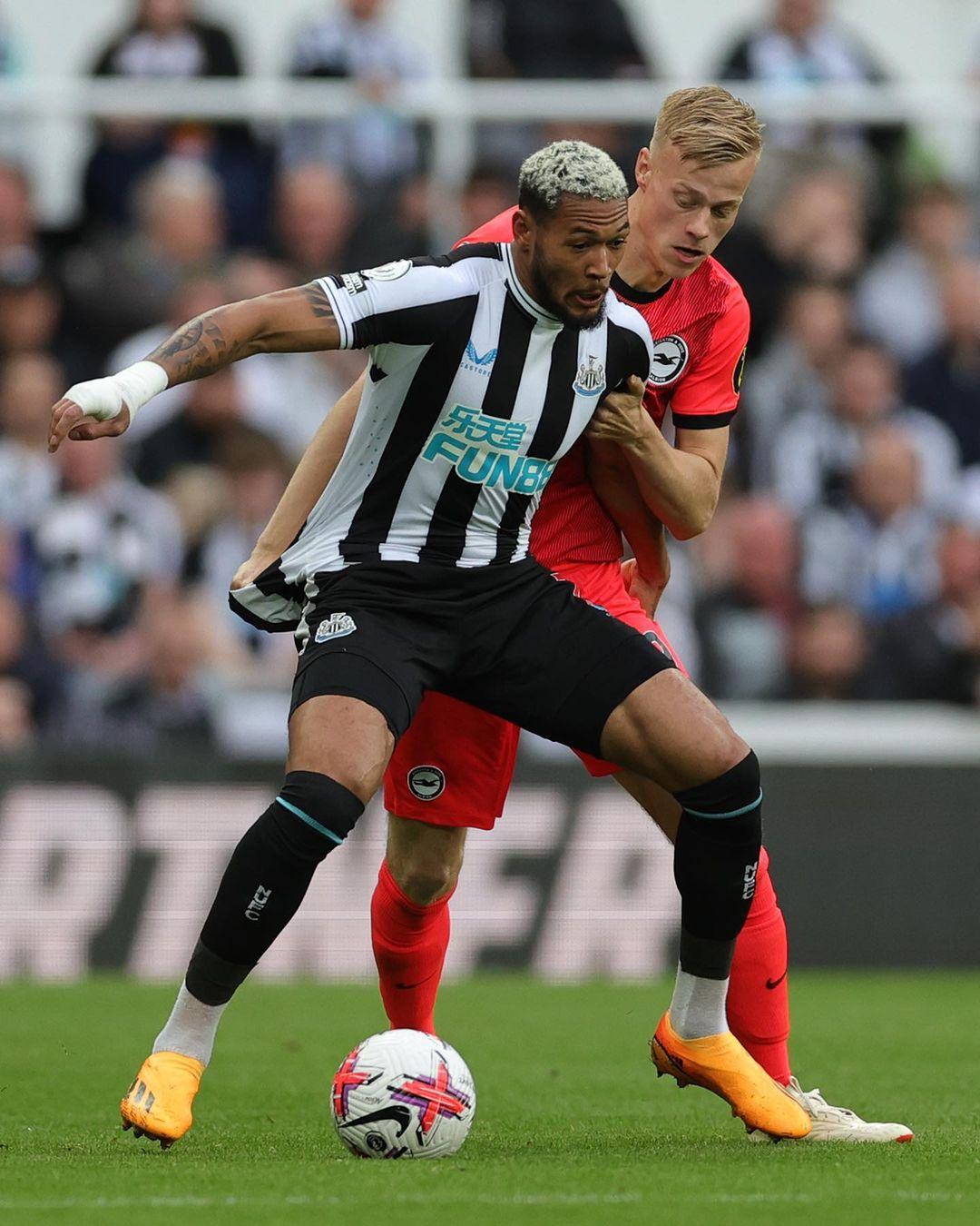 体育人的代 体育人的代