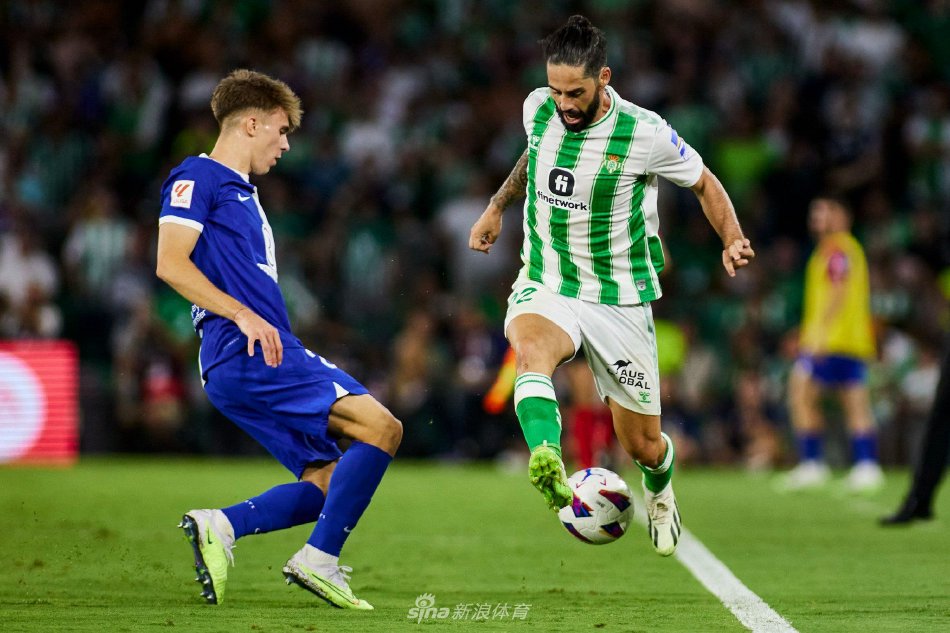 浙江队在进 浙江队在进